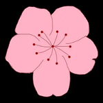 彩云直播免费版怎么下载APP应用